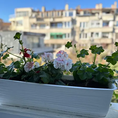 Something In French * Burgas City